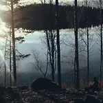 Rapakivi Heinola